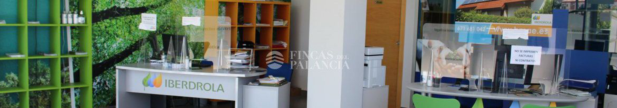 Servicios inmobiliarios profesionales. FINCAS DEL PALANCIA en Algimia De Alfara
